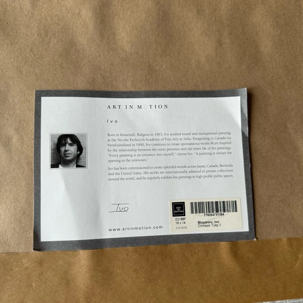 Art in Motion Ivo Stoyanov Framed Art Wall Print 16 X 14 Crimson Tulip - Picture 4 of 6